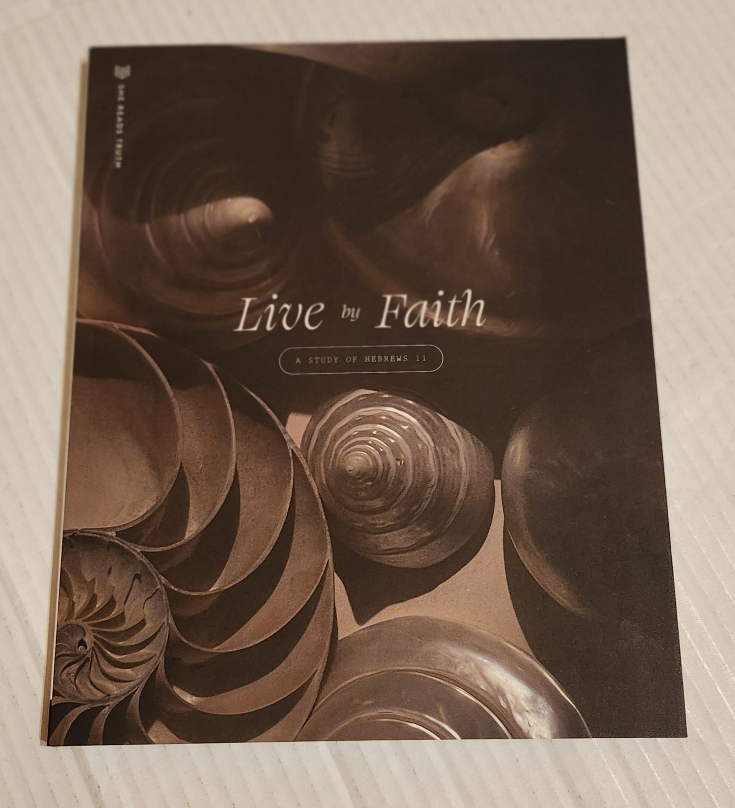 She Reads Truth LIVE BY FAITH Workbook Christian Study Guide Bible Scripture