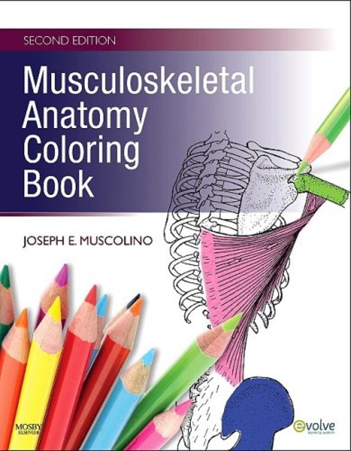 Musculoskeletal Anatomy Coloring Book Paperback Joseph E. Muscoli