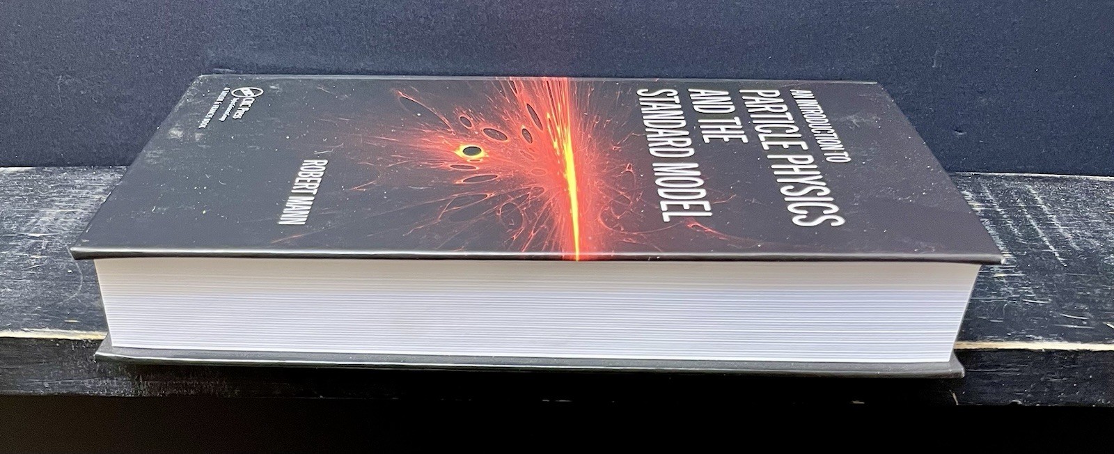 Introduction to Particle Physics & Standard Model by Robert Mann 2010 Like New N