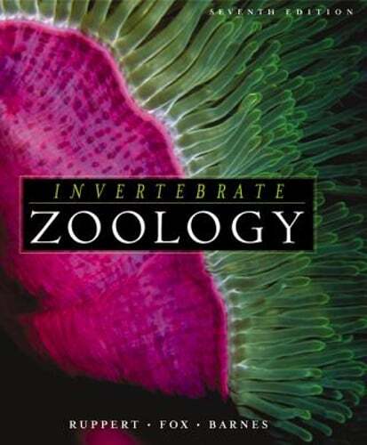 Invertebrate Zoology: A Functional Evolutionary Approach by Edward E Ruppert