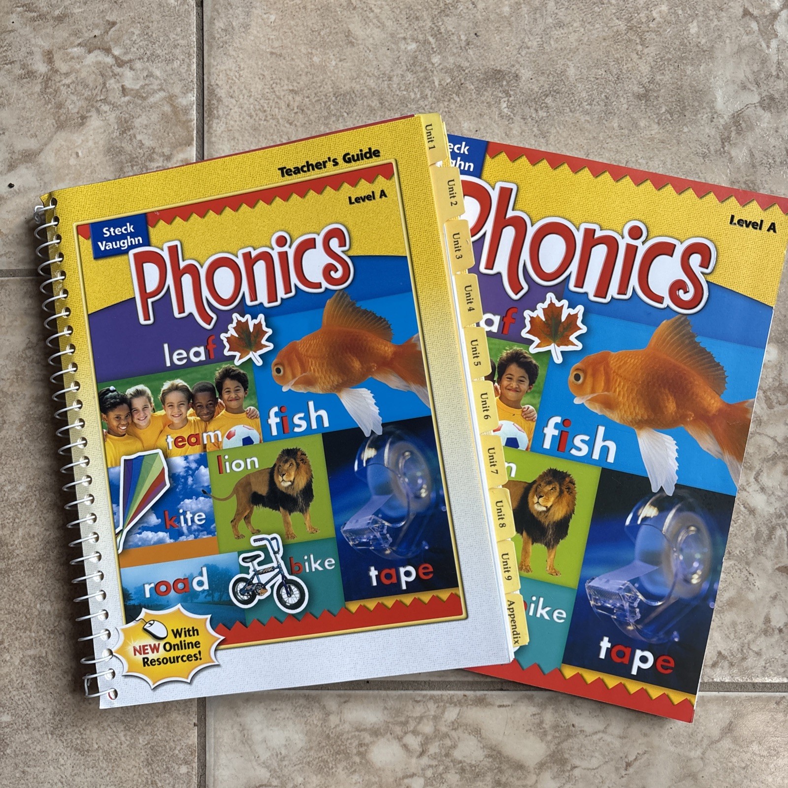 Steck Vaughn Phonics Teachers Guide And Workbook Level A New