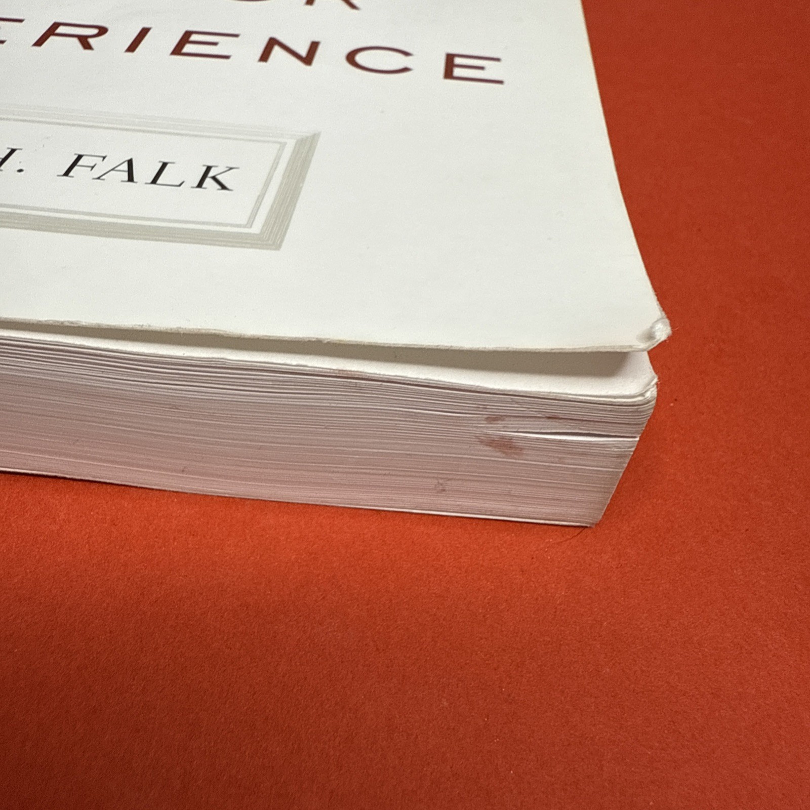 Identity and the Museum Visitor Experience by John H. Falk Paperback
