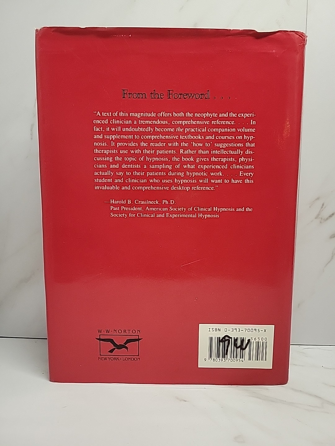 Handbook Of Hypnotic Suggestions and Metaphors by D. Corydon Hammond Ph,D