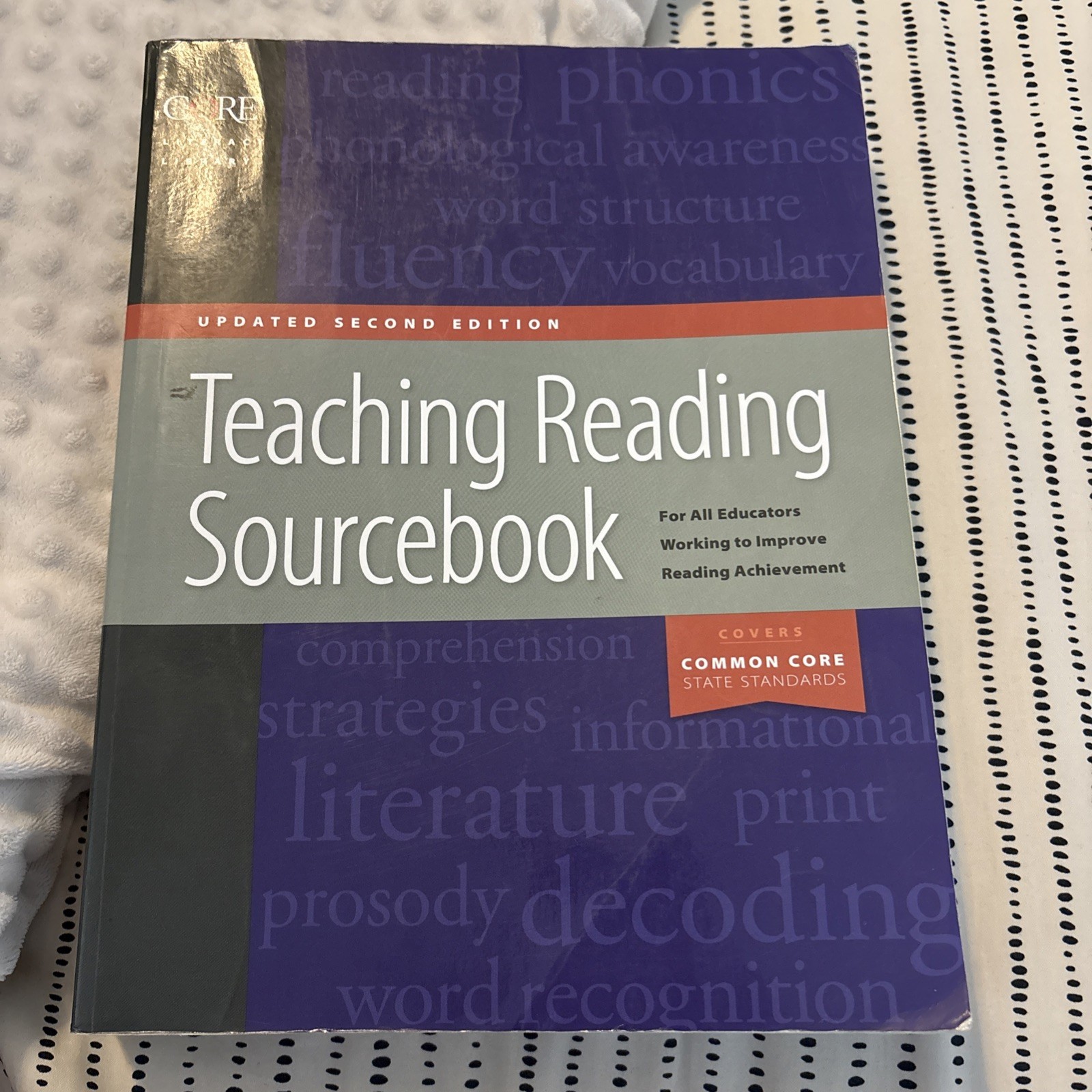 Teaching Reading Sourcebook Updated 2nd Edition Paperback
