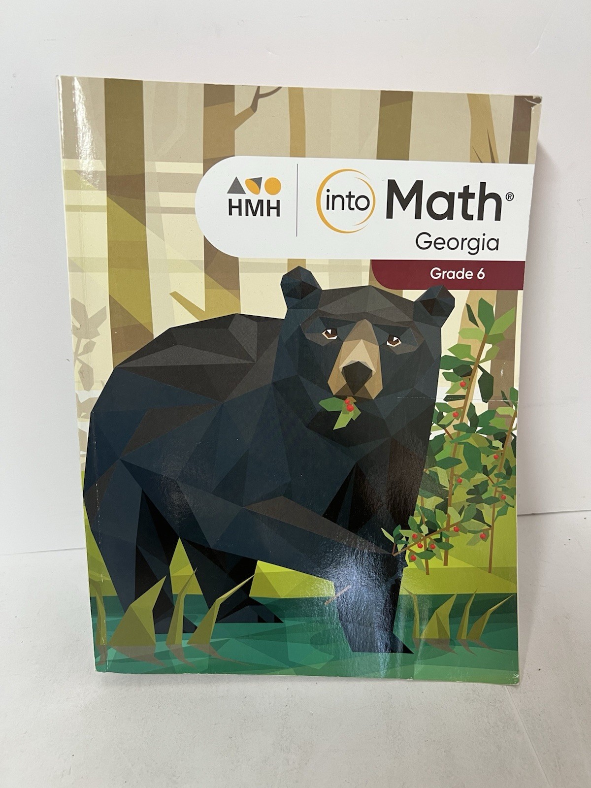 HMH Into Math Georgia Grade 6 workbook – NEW – Book