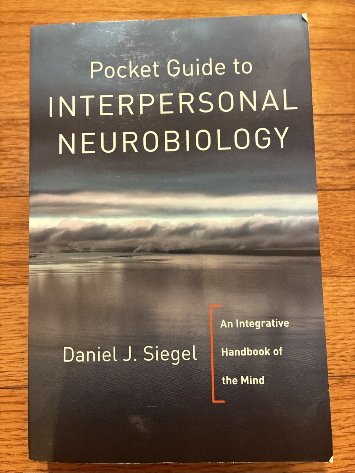 Pocket Guide to Interpersonal Neurobiology By Daniel Siegel