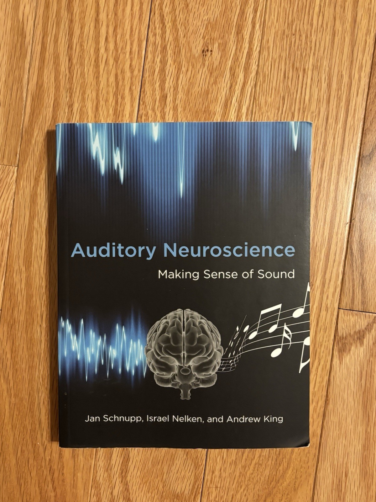 Auditory Neuroscience : Making Sense of Sound 2012