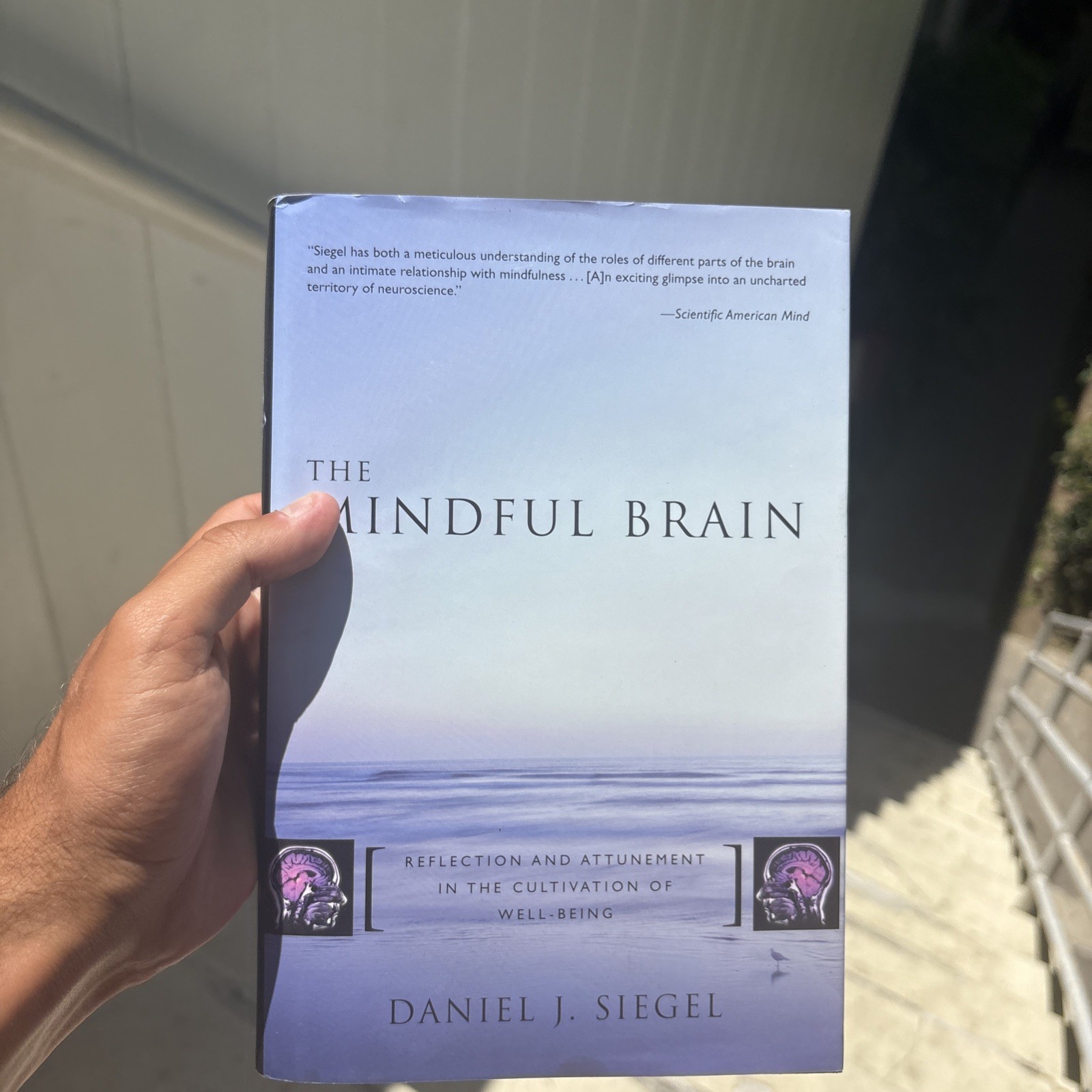 The Mindful Brain by Daniel J. Siegel (Hardcover 2007)