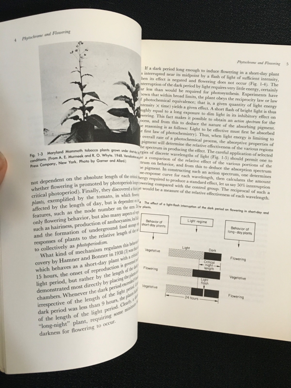 CONTROL MECHANISMS IN PLANT DEVELOPMENT Galston Davies Vintage Botony Biology PB
