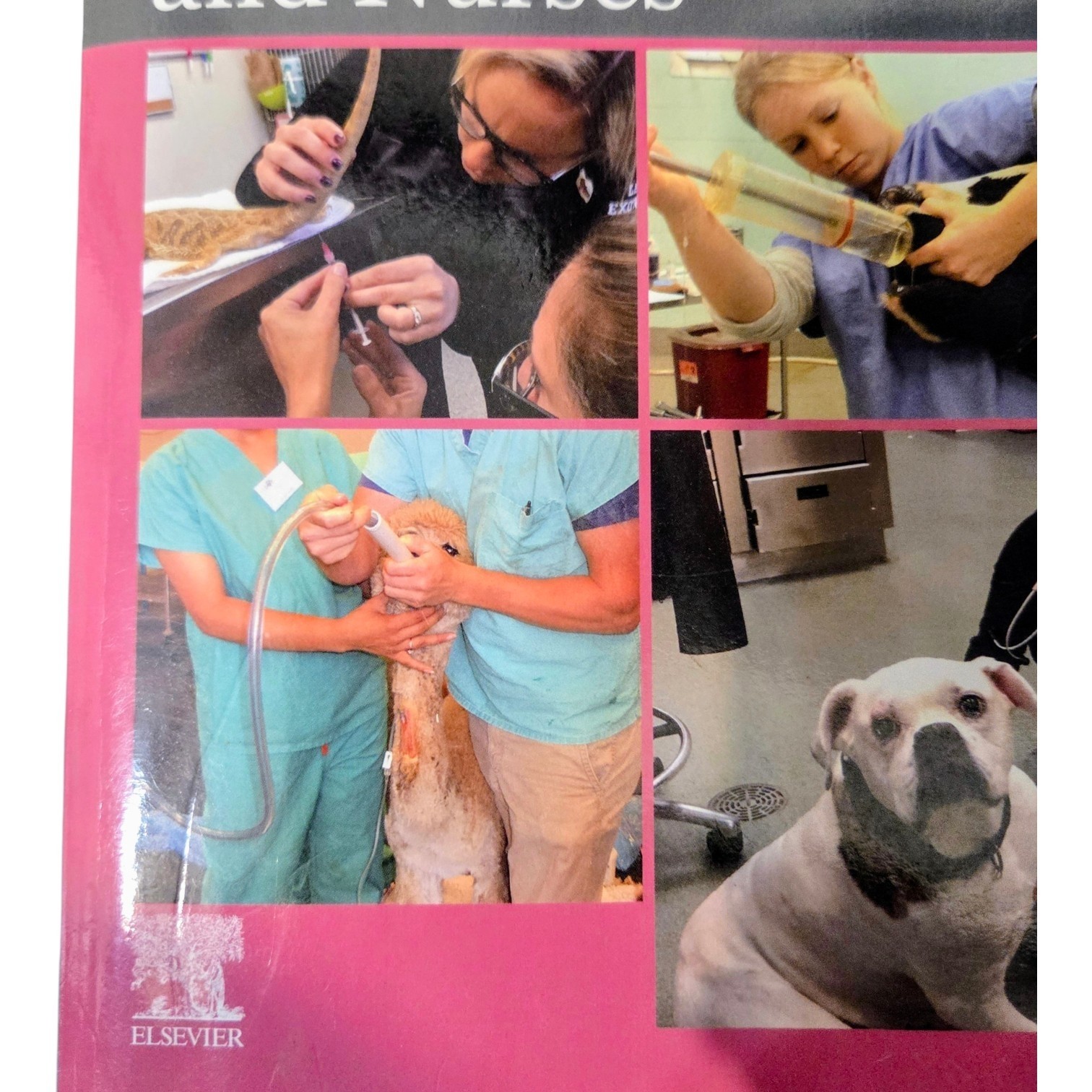Workbook for McCurnin’s Clinical Textbook Veterinary Technicians 10th Edition