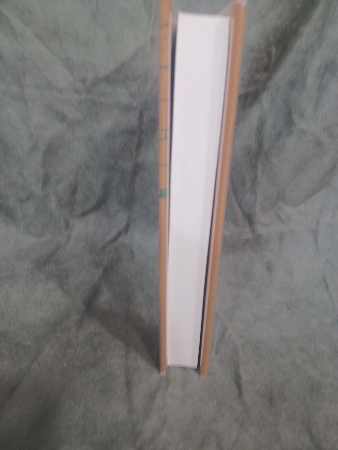 Hellenistic Constructs : Essays in Culture, History, and Historiography