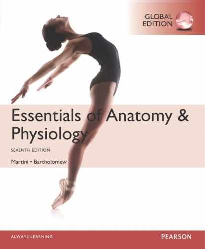 Essentials of Anatomy & – Paperback, by Frederic Martini Edwin – Very Good