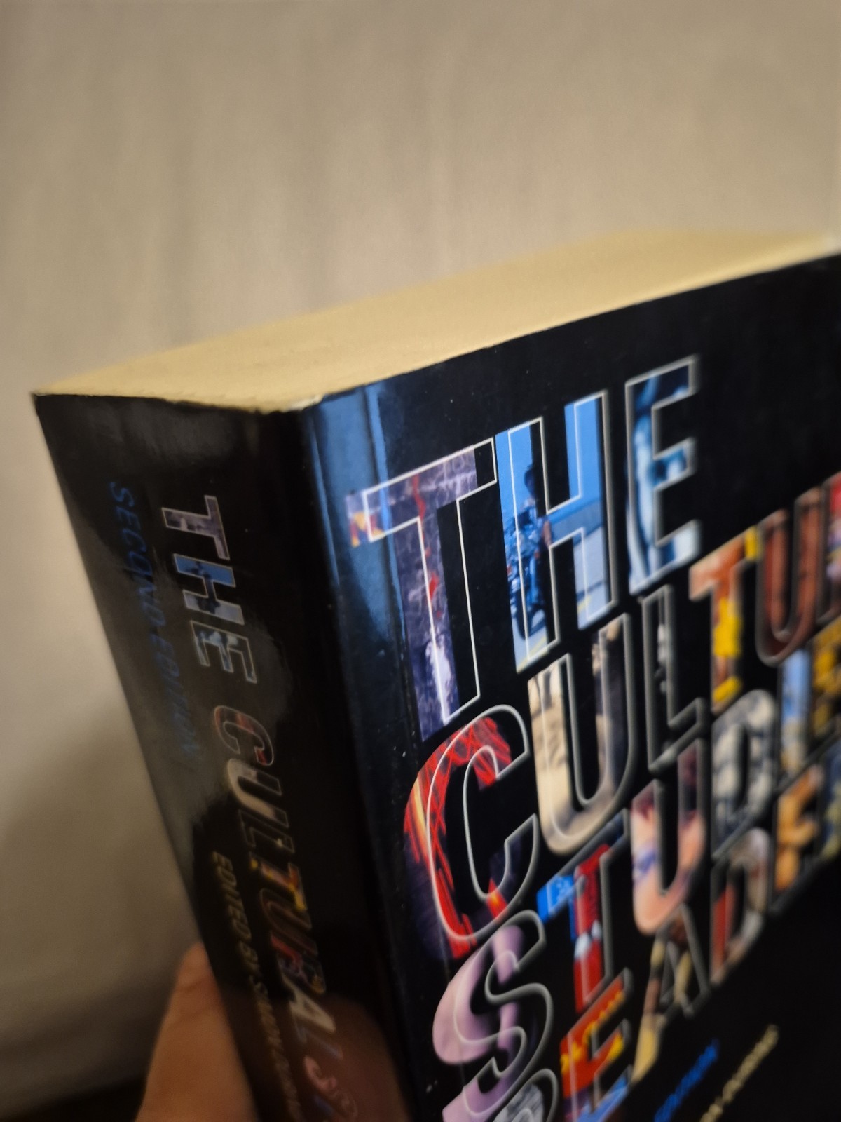 Cultural Studies Reader Simon During Routledge TPB Theory Criticism Philosophy