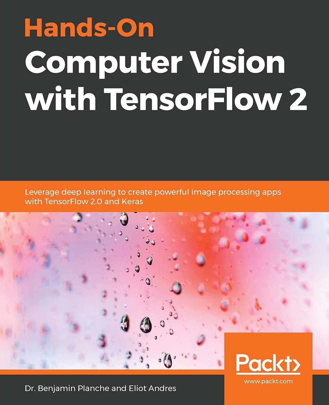 Hands-On Computer Vision with TensorFlow 2: Leverage deep learning to create…
