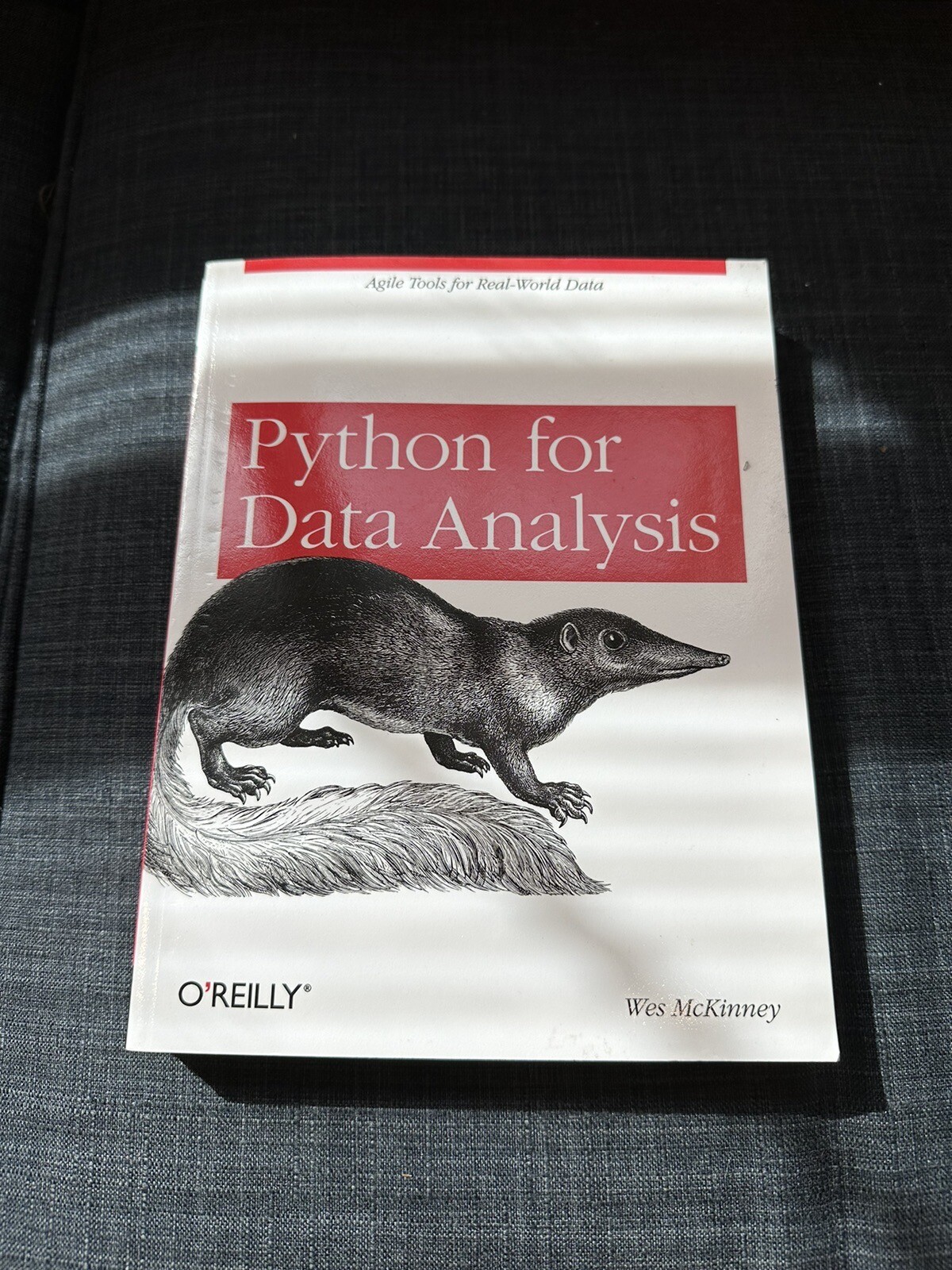 Python for Data Analysis by Wes McKinney
