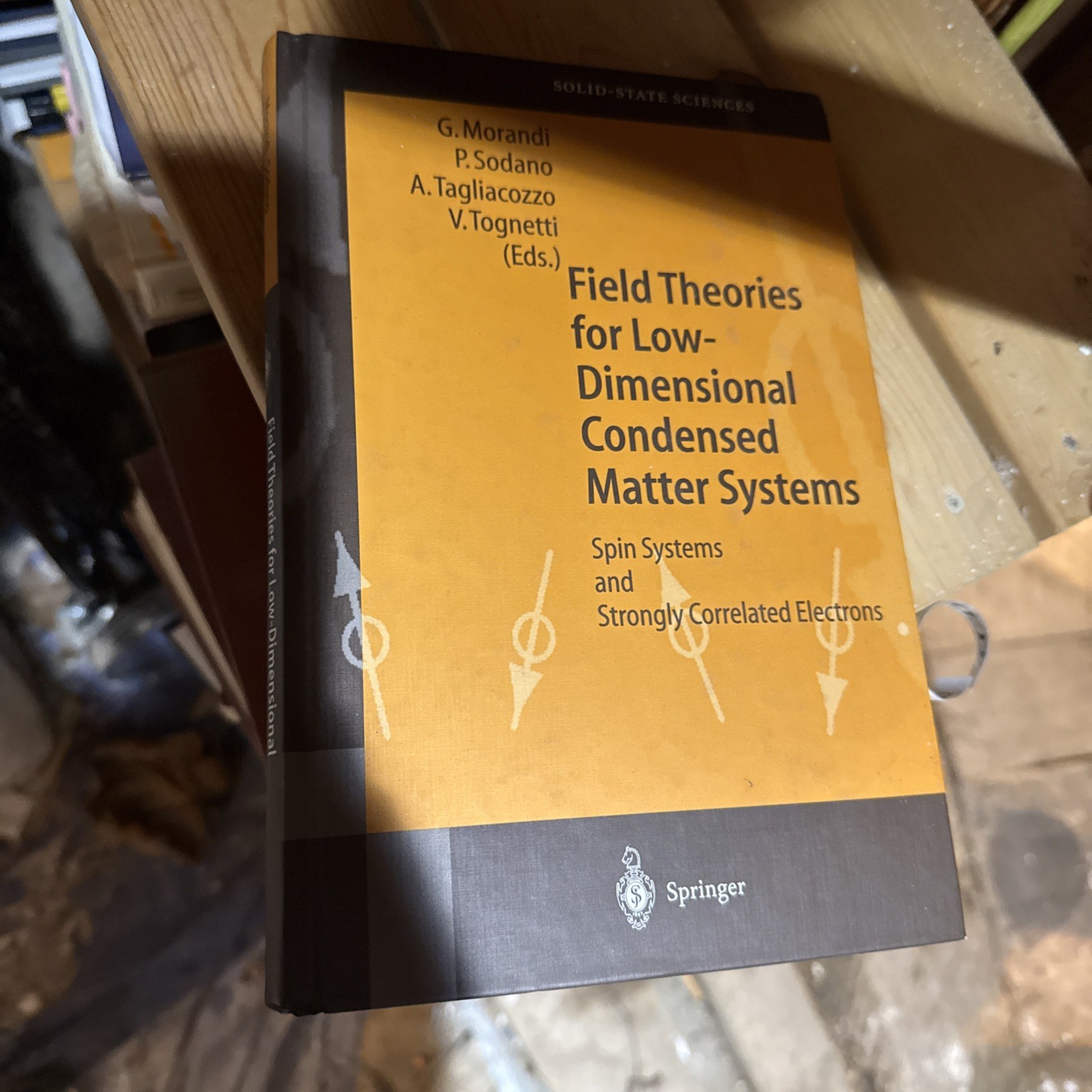 Springer Series in Solid-State Sciences Ser.: Field Theories for Low-Dimensional