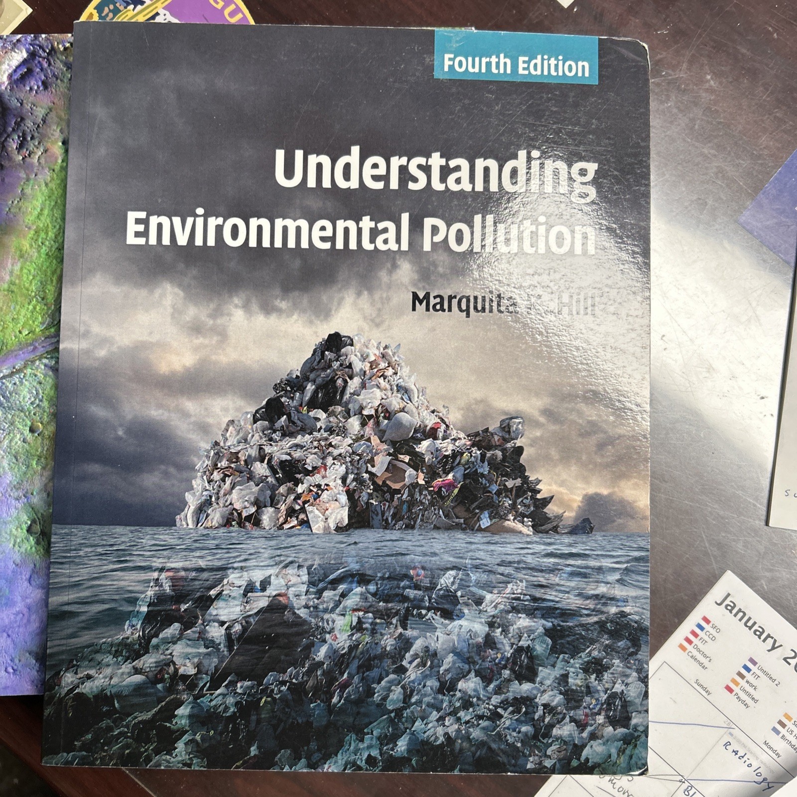 Understanding Environmental Pollution by Marquita K. Hill (2020)