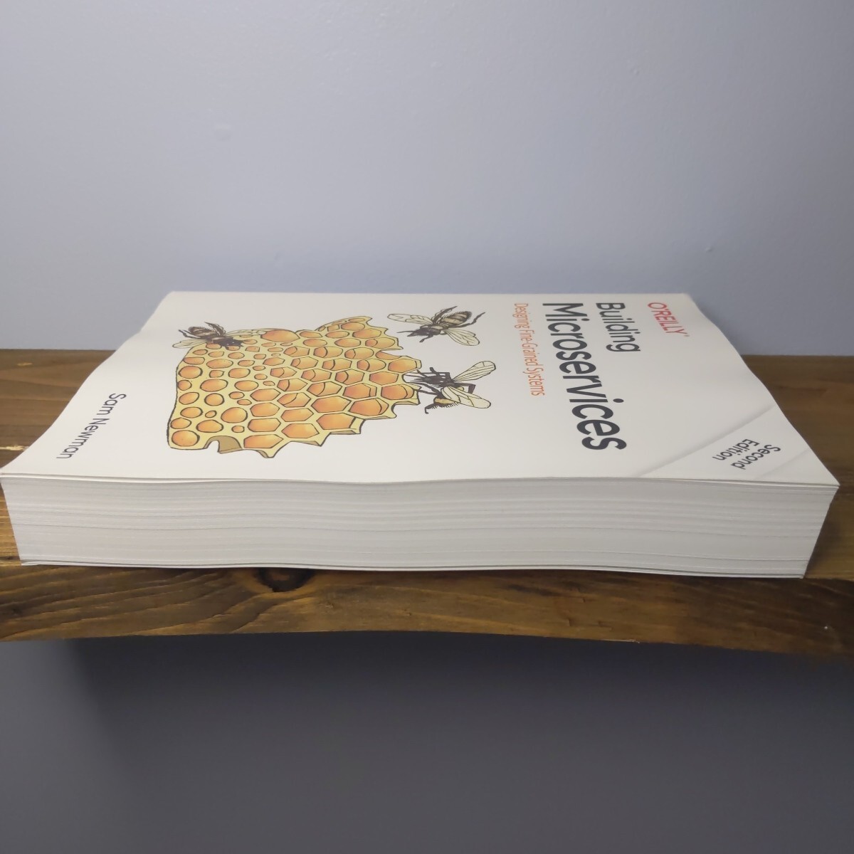 Building Microservices : Designing Fine-Grained Systems by Sam Newman (2021)