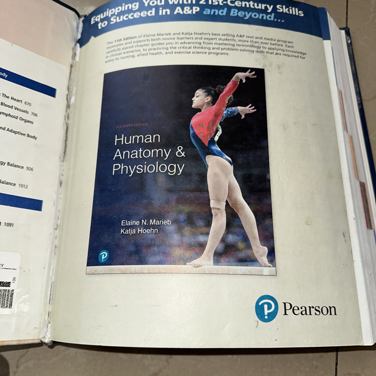Human Anatomy and Physiology by Elaine Marieb and Katja Hoehn (2018, Hardcover)