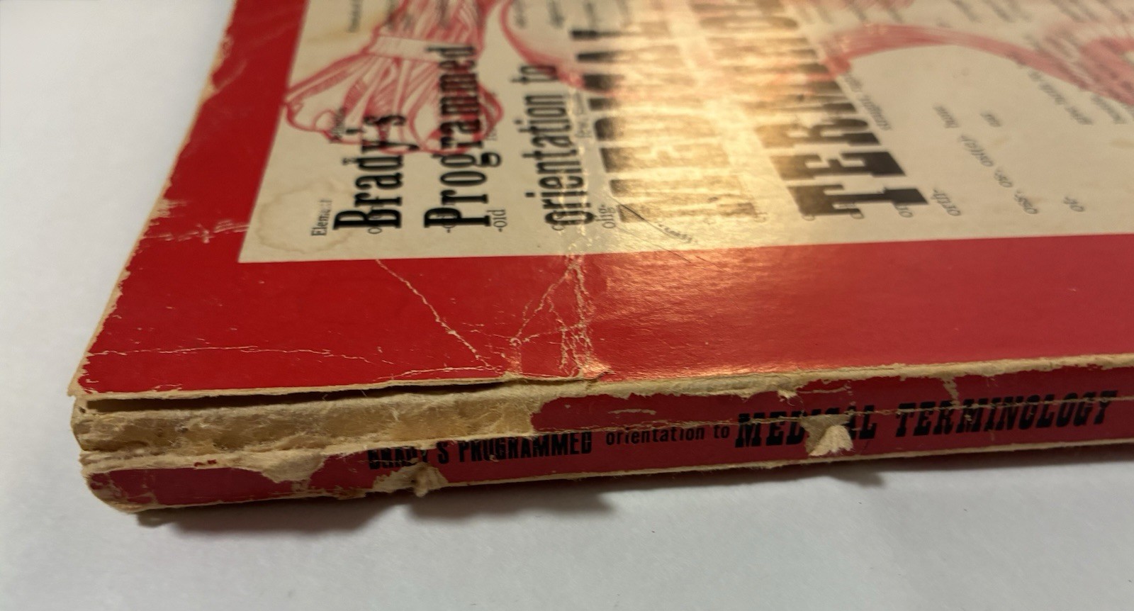 Brady’s Programmed Orientation To Medical Terminology Workbook Vintage