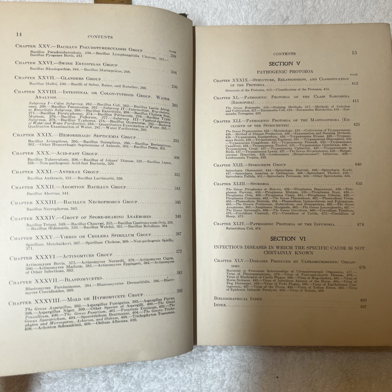 Veterinary Bacteriology 1911