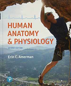 Human Anatomy & Physiology (Masteringa&p) – Hardcover, by Amerman Erin – Good
