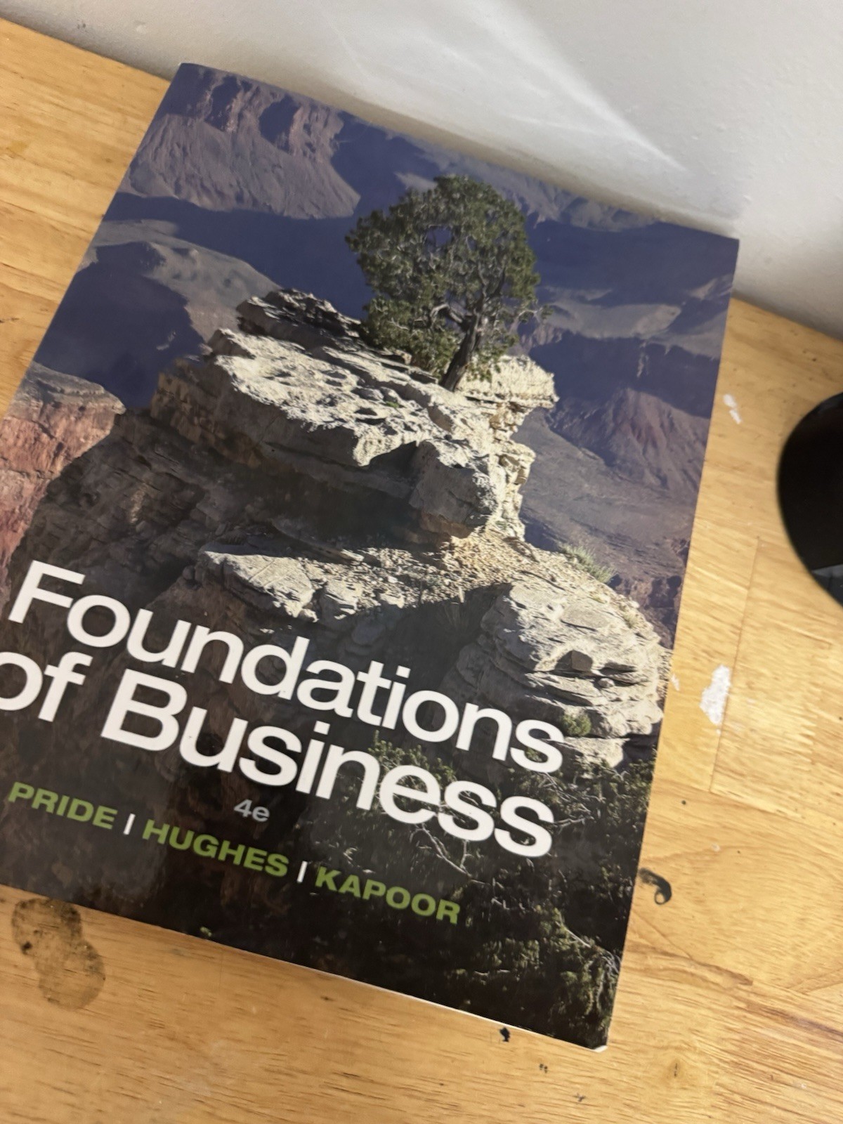Foundations of Business by Jack R. Kapoor, William M. Pride and Robert J. Hughes