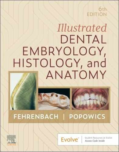 Illustrated Dental Embryology, – Paperback, by Fehrenbach RDH MS – New
