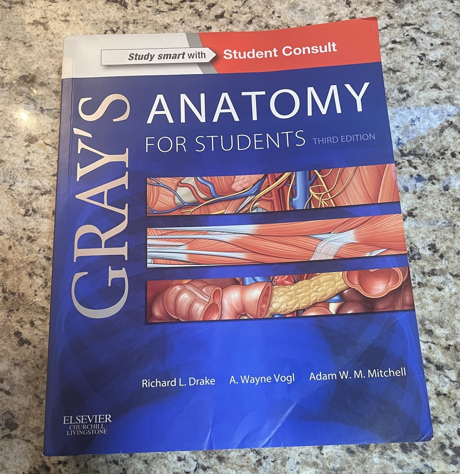Gray’s Anatomy for Students 3rd edition: With Student Consult Online Access