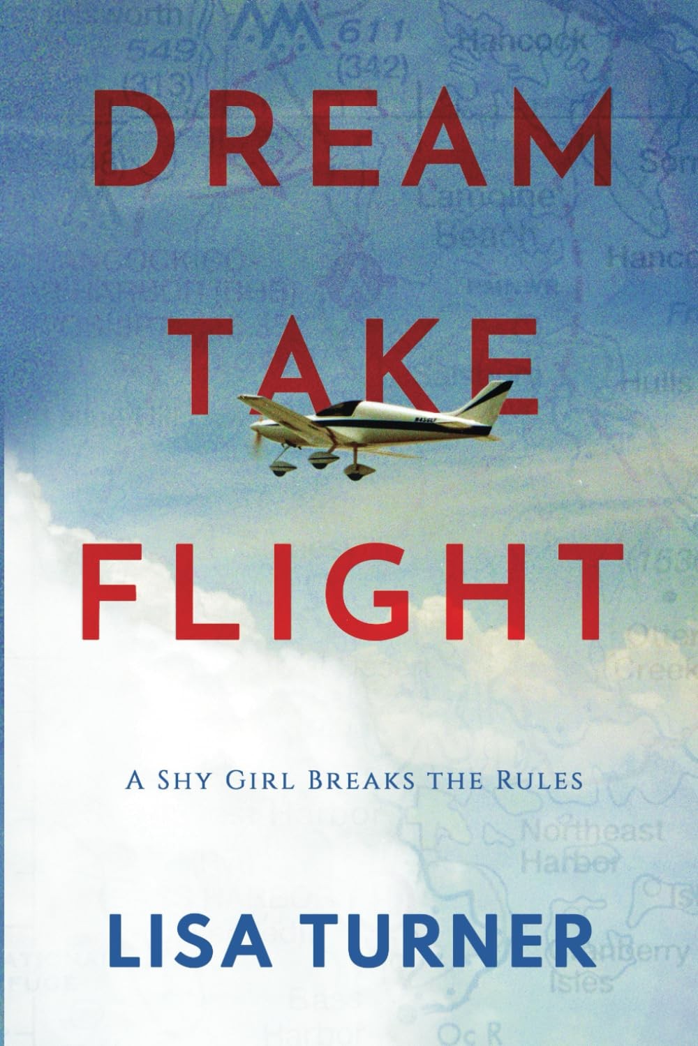 Dream Take Flight: An Unconventional Journey by Turner