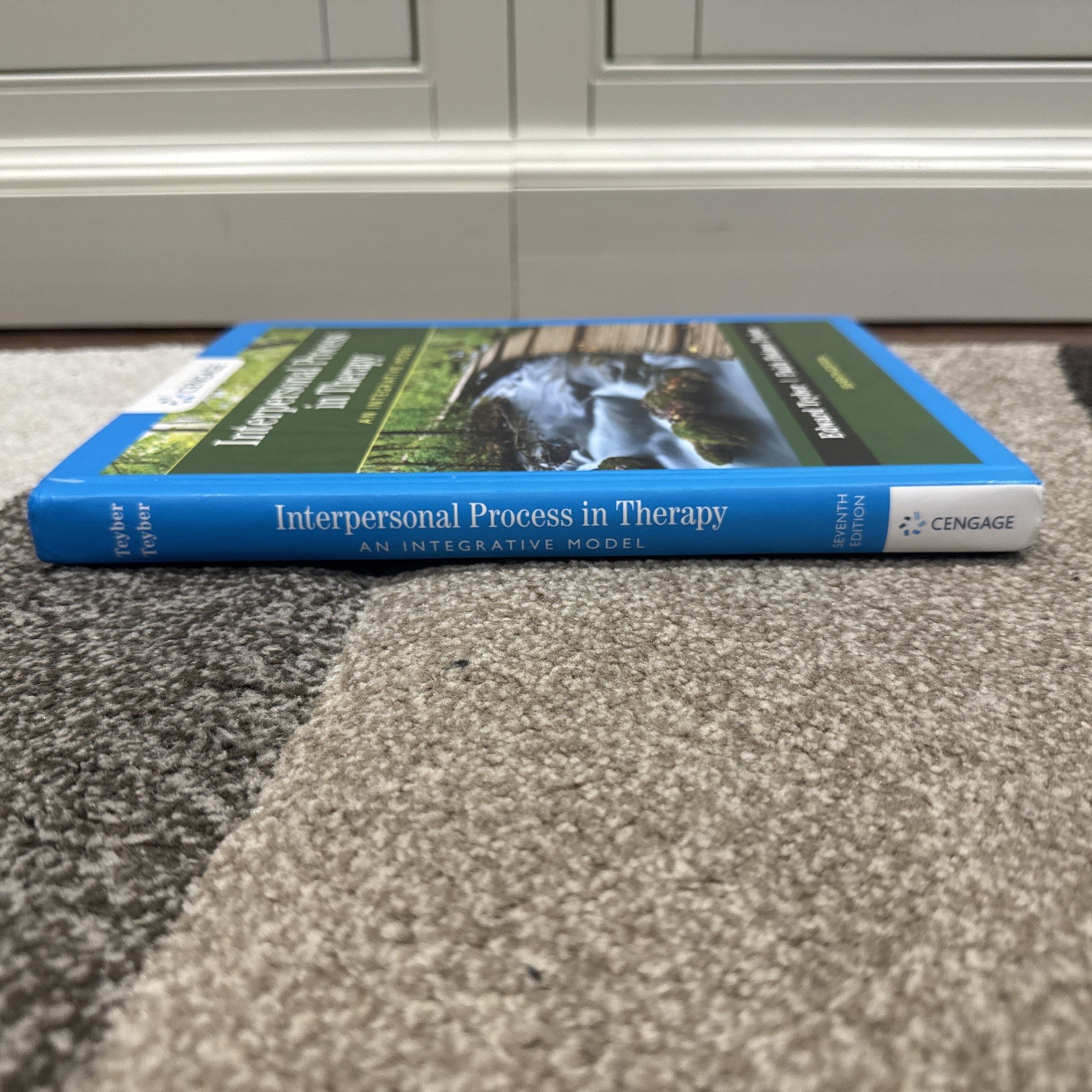 Interpersonal Process in Therapy : an Integrative Model Seventh Edition 51A