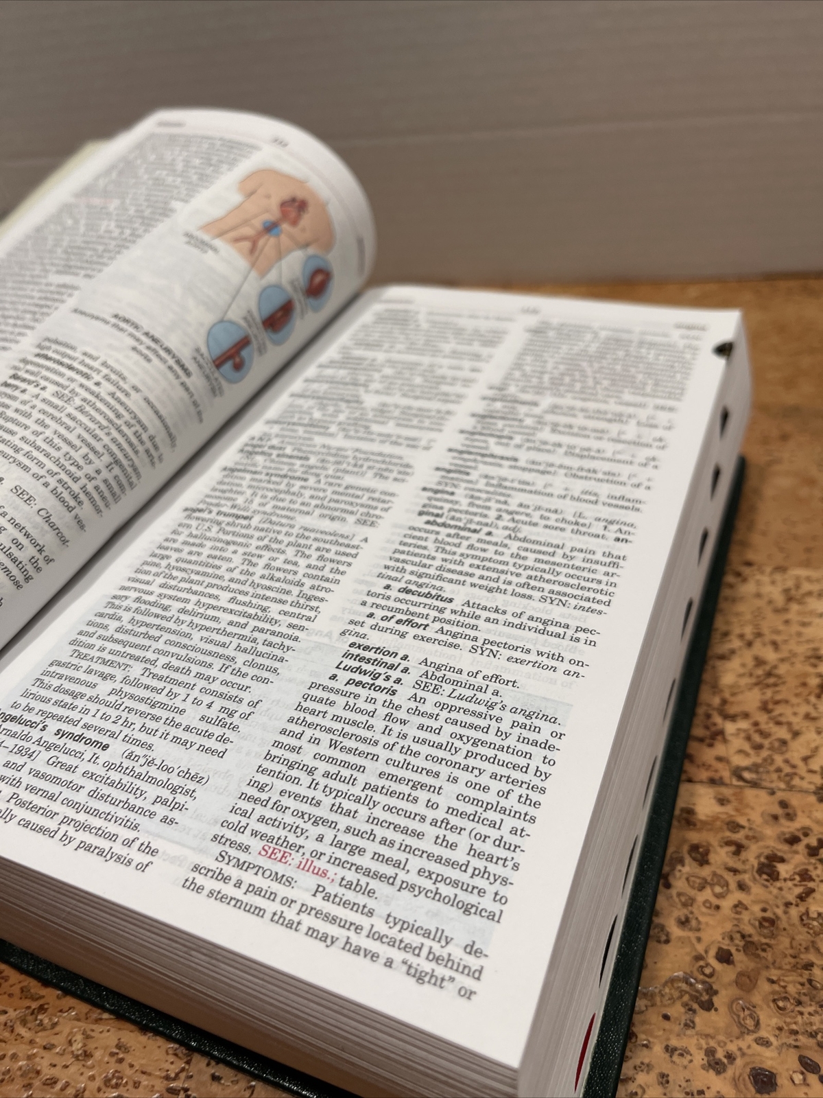 Taber’s Cyclopedic Medical Dictionary : Thumb-Indexed Version by Donald Venes…