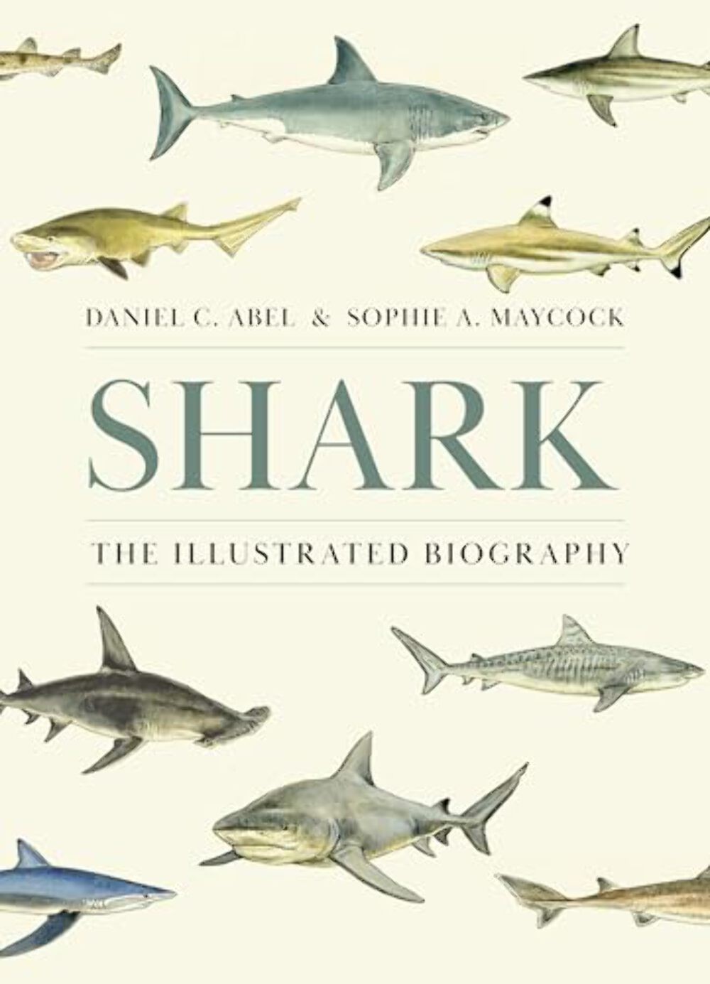 Shark: The Illustrated Biography – Hardcover