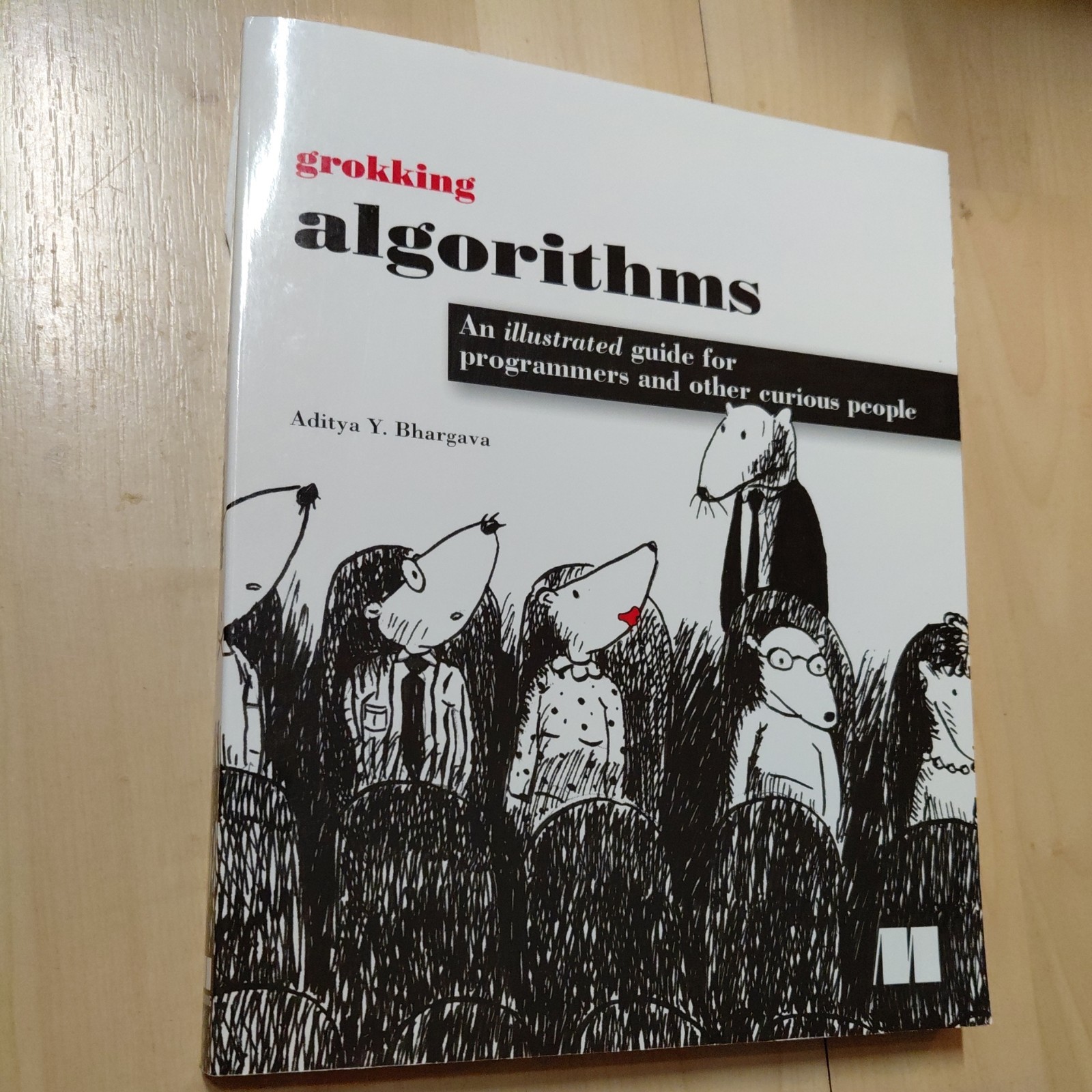 Grokking Algorithms : An Illustrated Guide for Programmers and Other Curious…