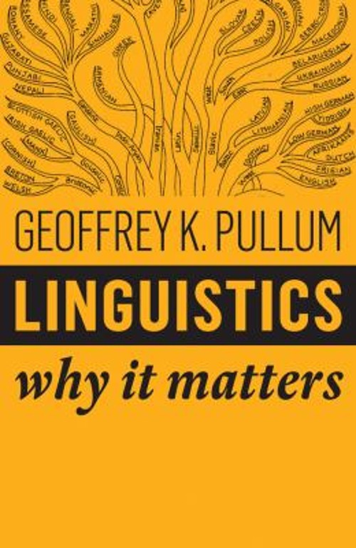 Linguistics : Why It Matters Paperback Geoffrey K. Pullum