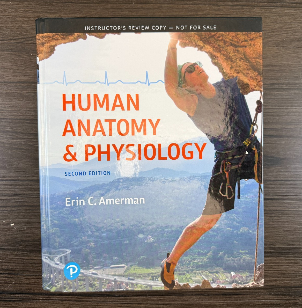 Human Anatomy and Physiology Second Edition by Erin Amerman (2019 Hardcover)
