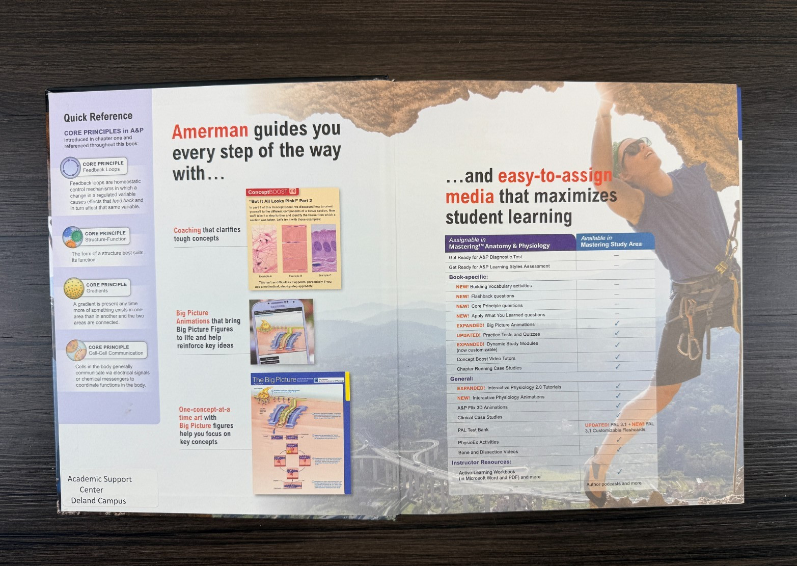 Human Anatomy and Physiology Second Edition by Erin Amerman (2019 Hardcover)