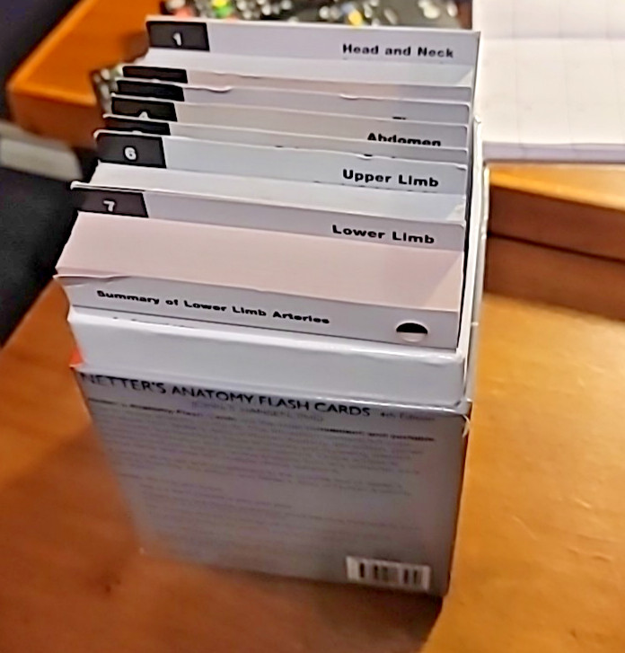Netter Basic Science Ser.: Netter’s Anatomy Flash Cards 4th edition used VG+