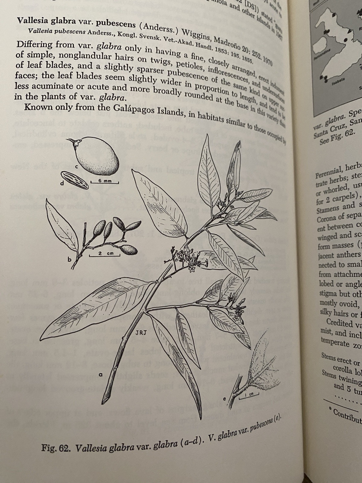 Flora of the Galapagos Islands [ Wiggins, Ira L. ] Used – Good – HC DJ