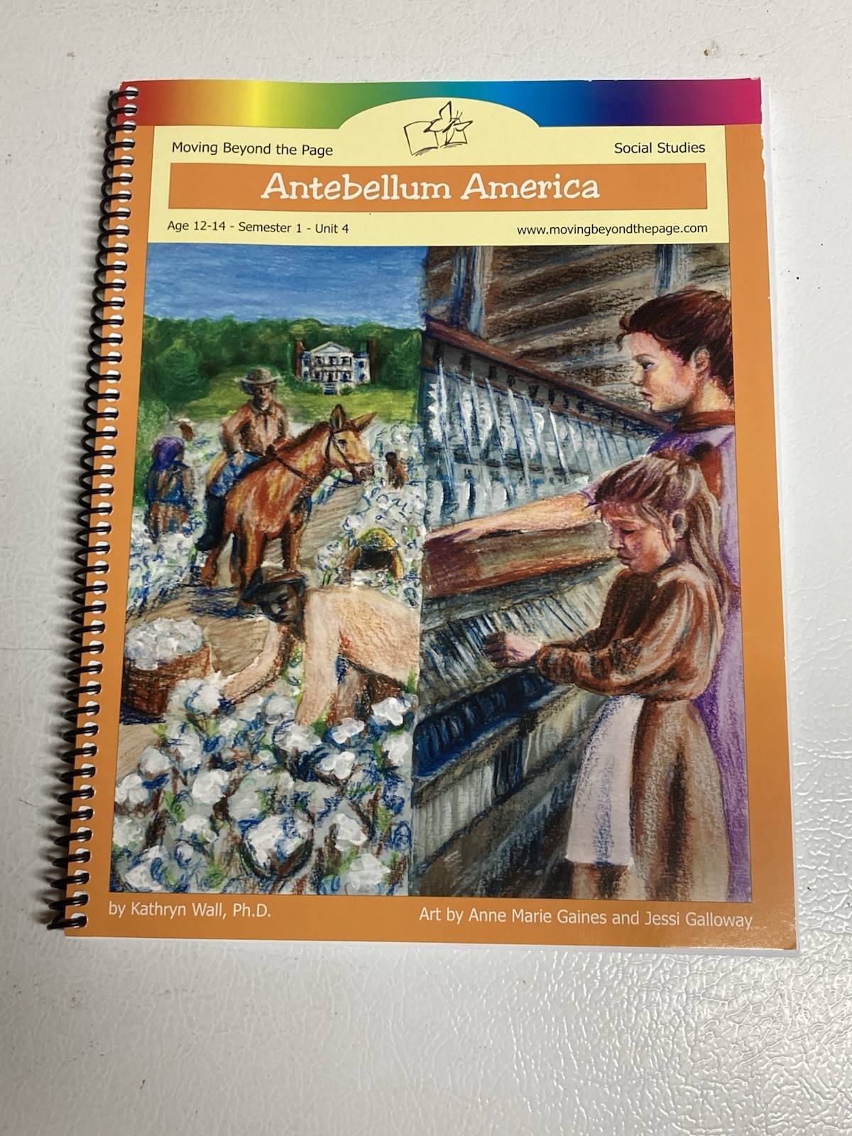 Moving Beyond The Page Social Studies Ages 12-14 Antebellum America