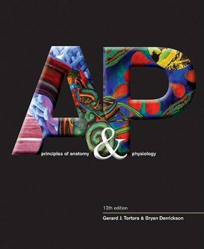 Principles of Anatomy and Physiology – Hardcover By Tortora, Gerard J – GOOD