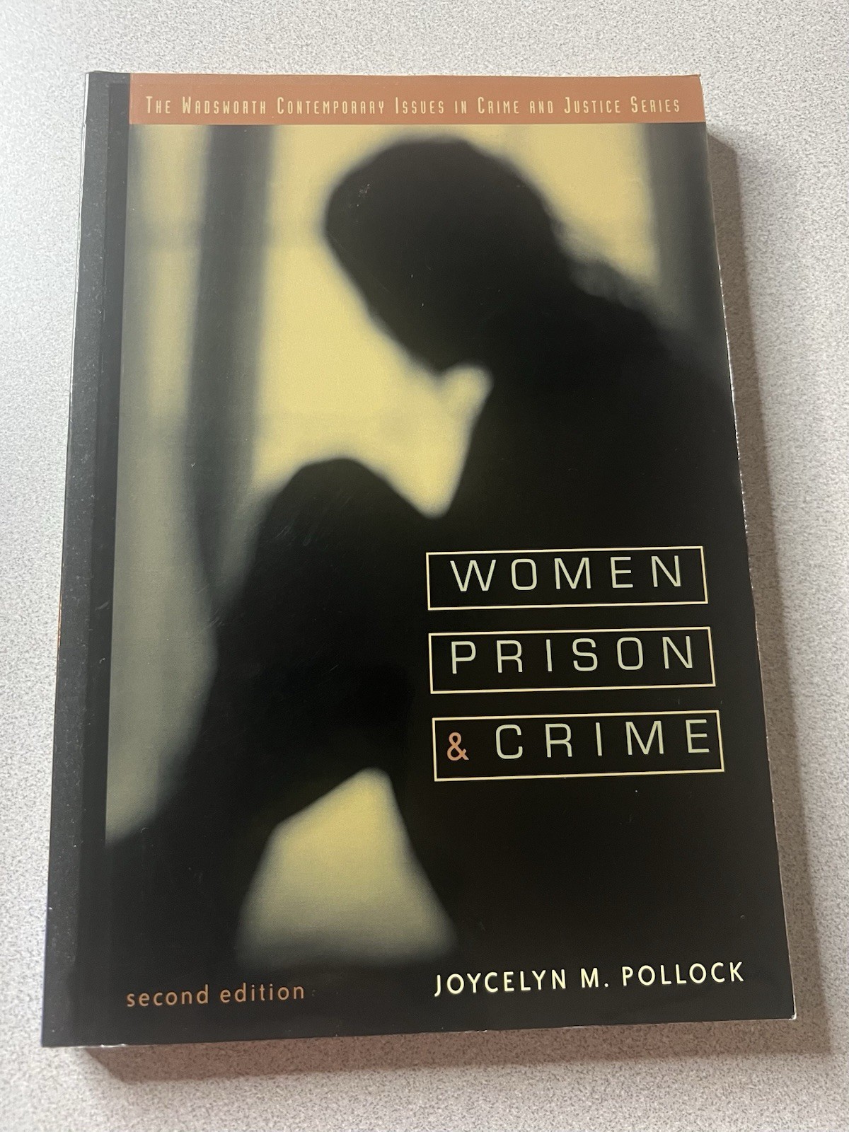 Women, Prison, and Crime – Paperback By Pollock, Joycelyn M