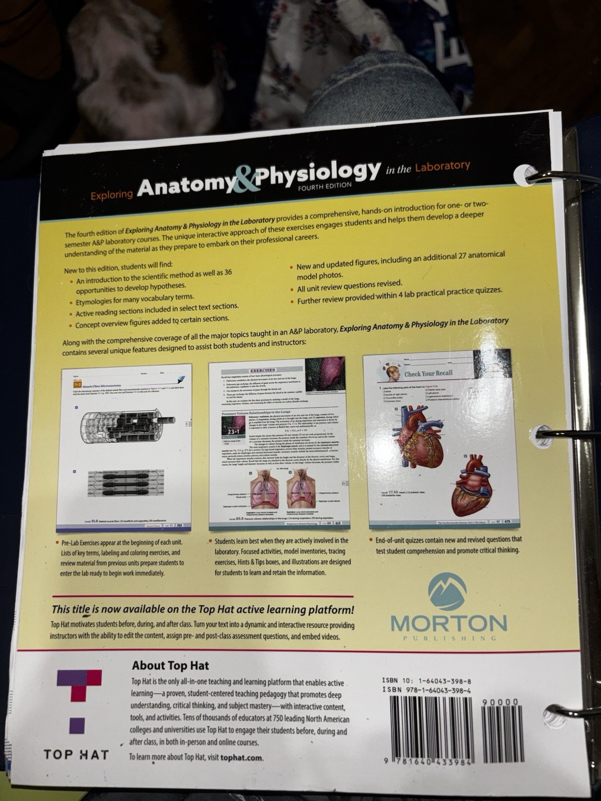 Morton Publishing Exploring Anatomy & Physiology Lab 4th Erin Amerman 2020