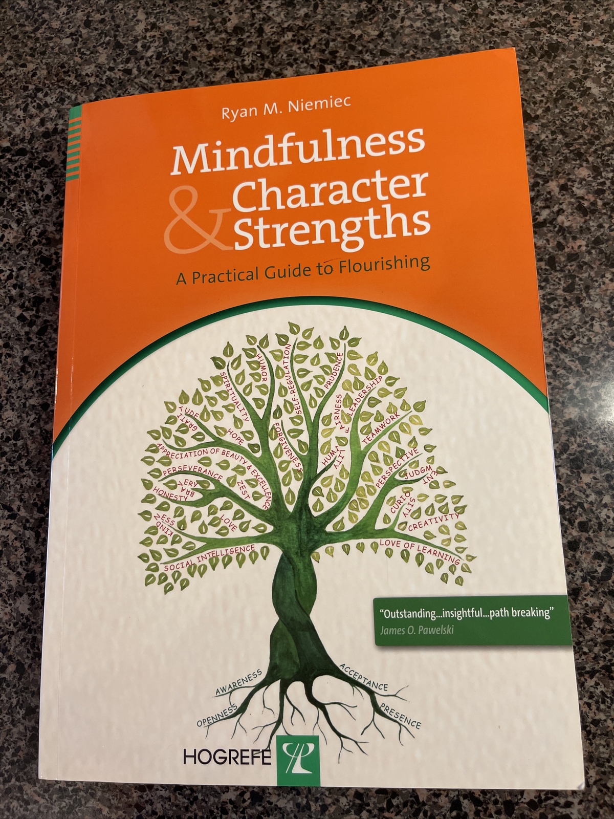 Mindfulness and Character Strengths A Practical Guide to Flourishing Hybrid w/CD
