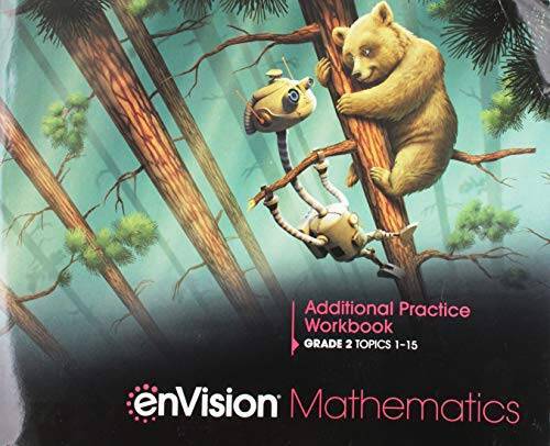 ENVISION MATHEMATICS 2020 ADDITIONAL PRACTICE WORKBOOK GRADE 2 – VERY GOOD