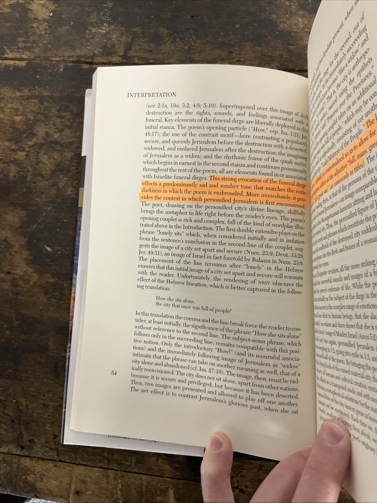 Interpretation: a Bible Commentary Ser.: Lamentations by F. W. Dobbs-Allsopp