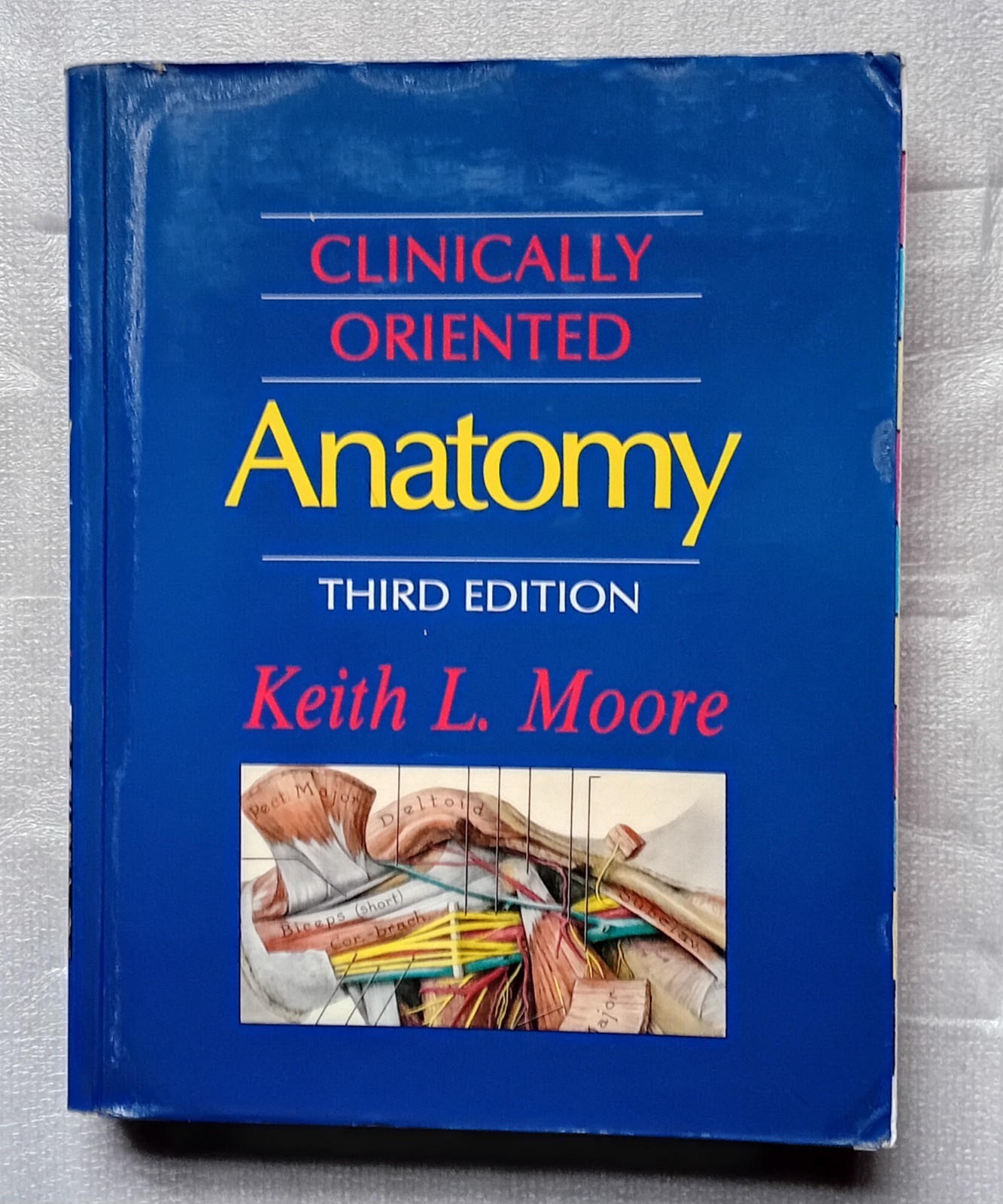Clinically Oriented Anatomy 3rd ED Keith L Moore Medical Textbook PB 1992 VGC UK