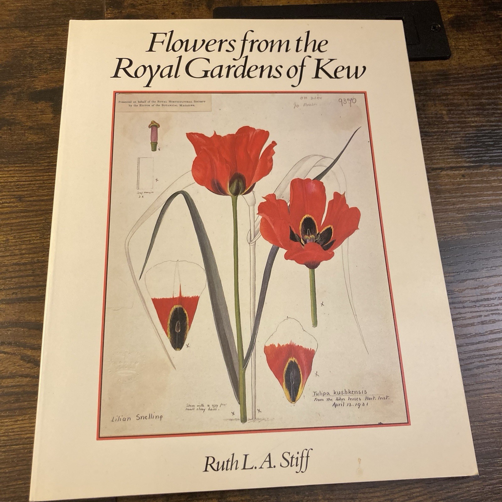 Flowers from Royal Gardens of Kew 2 Centuries Curtis Botanic Magazine Ruth Stiff