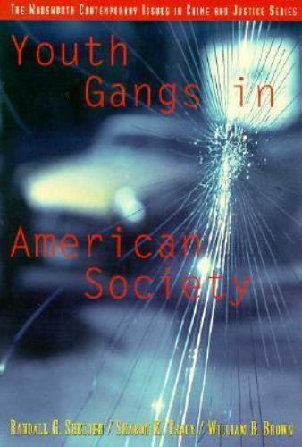 Youth Gangs in American Society (A volume in the Wadsworth Contemporary Issu…