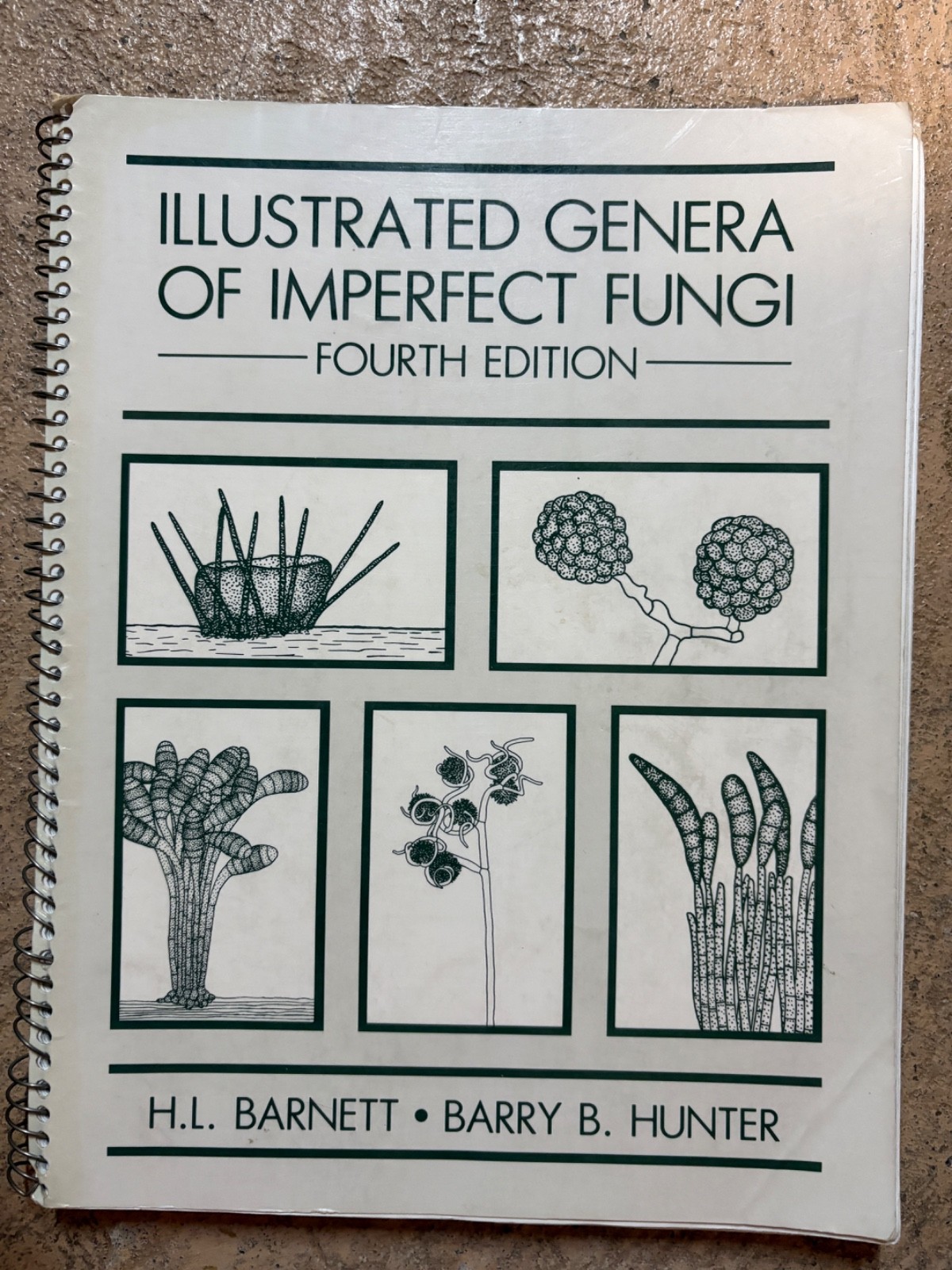 Illustrated Genera of Imperfect Fungi by H. L. Barnett & Barry B. Hunter 1987